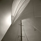 Spinnaker Detail of Cambria, Isle of Wight