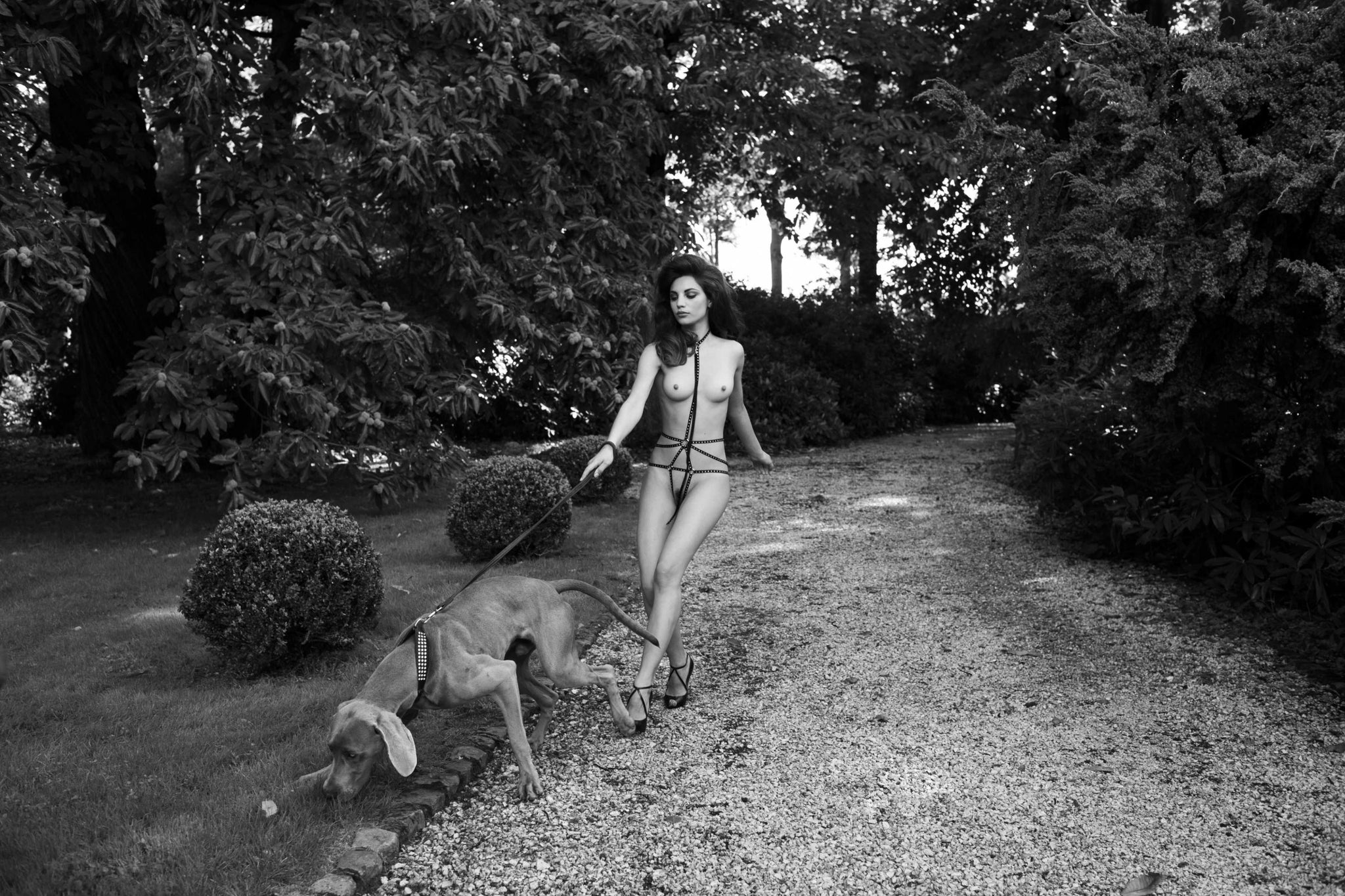 A Walk With Arthur (b&w) by Marc Lagrange, limited edition photography