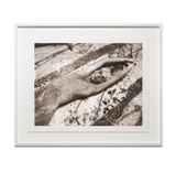 Conched I (chocolate)