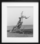 Desert Tree (b&w)