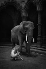 Humble (b&w)|(sepia)