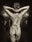 Millionaire woman (sepia) by Marc Lagrange, limited edition photography