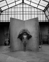 Quetzal (b&w)