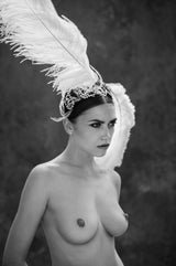 Swan Song (b&w)