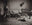 The Birds (sepia) by Marc Lagrange, limited edition photography