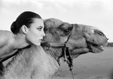 The Camel (b&w)