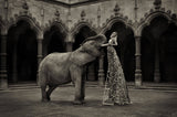 The Elephant in the Room (sepia)