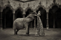 The Elephant in the Room (sepia)