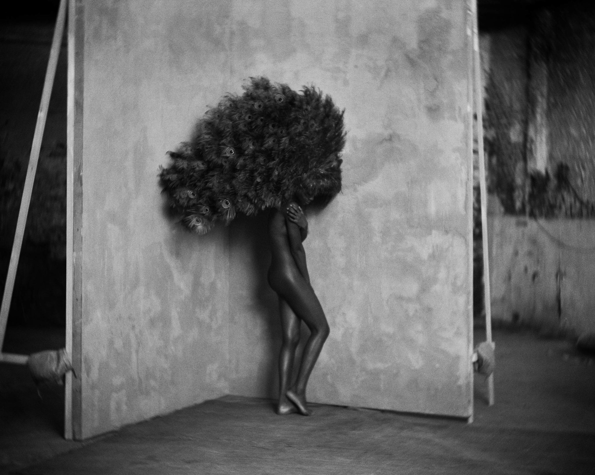 Aves (b&w) by Marc Lagrange, limited edition photography
