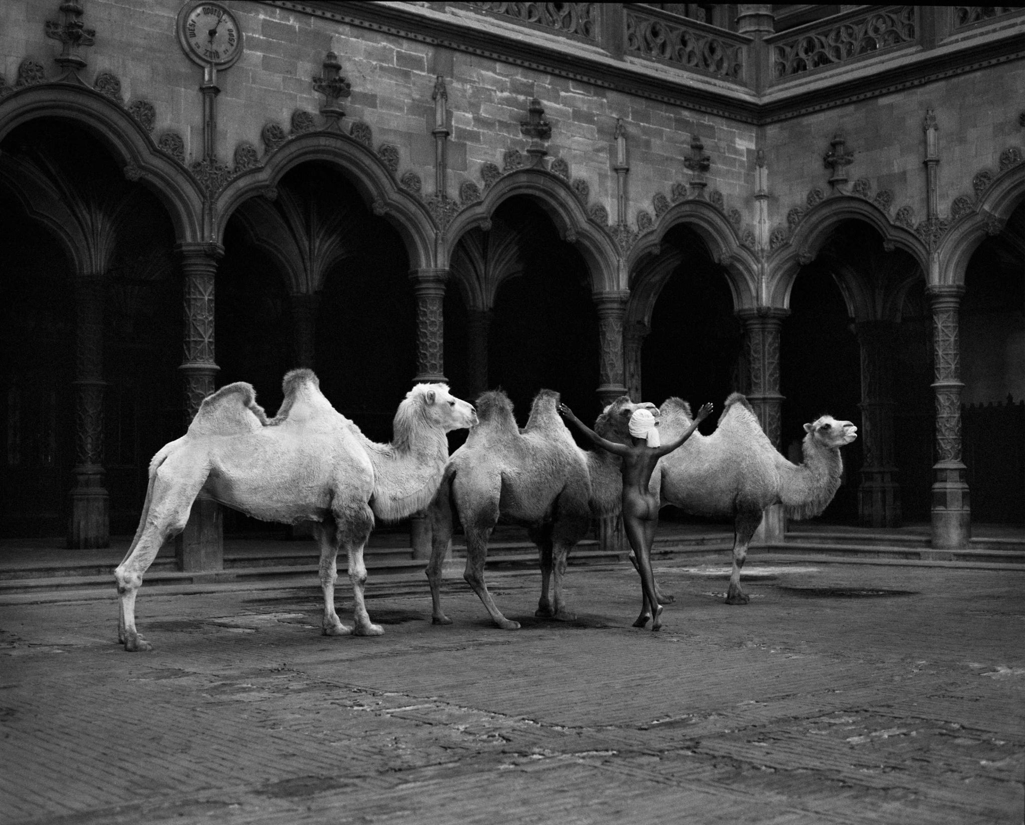 The Herder (b&w) by Marc Lagrange, limited edition photography