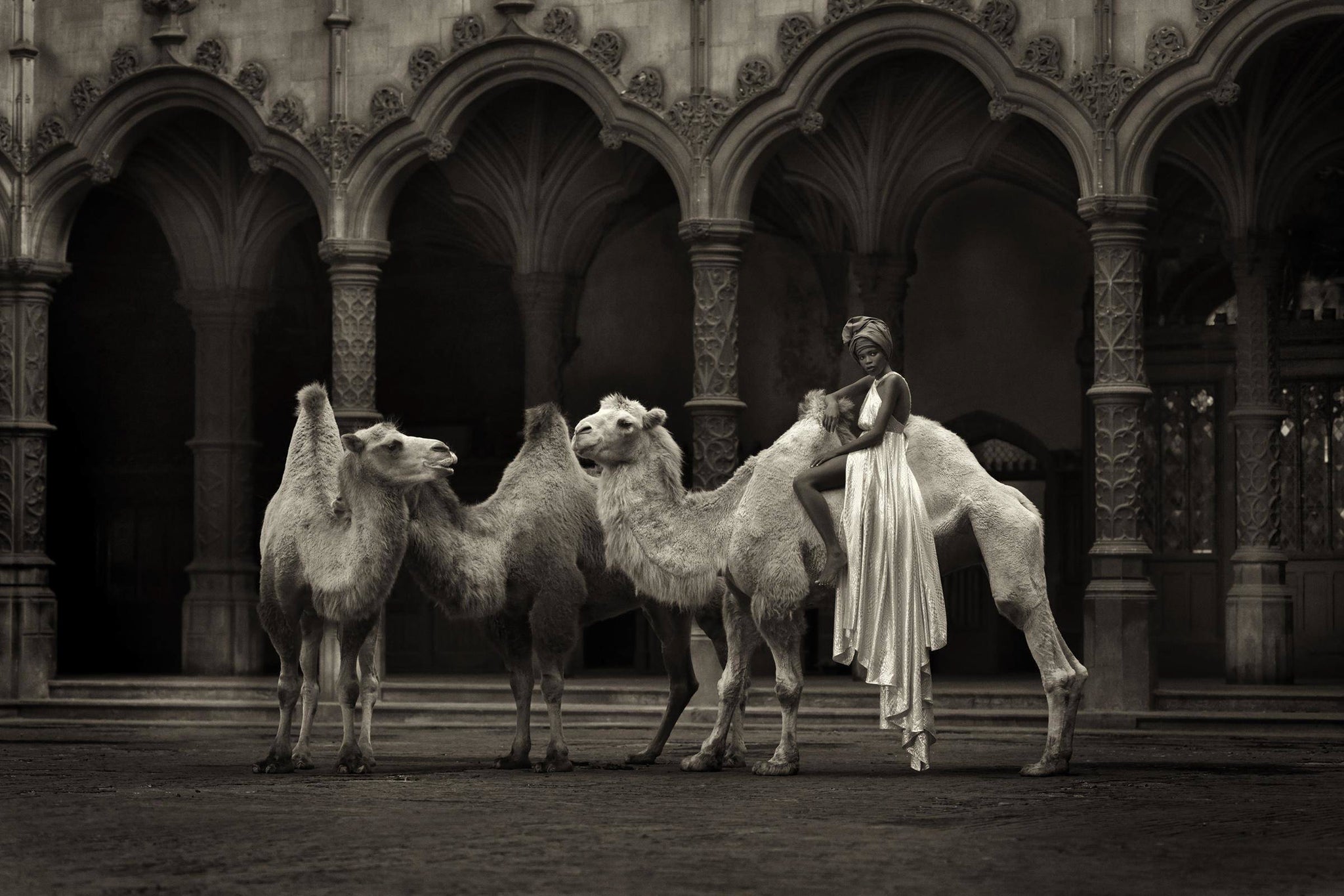 The Straw that broke the Camel's Back (b&w)|(sepia) by Marc Lagrange, limited edition photography