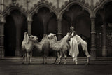 The Straw that broke the Camel's Back (sepia)