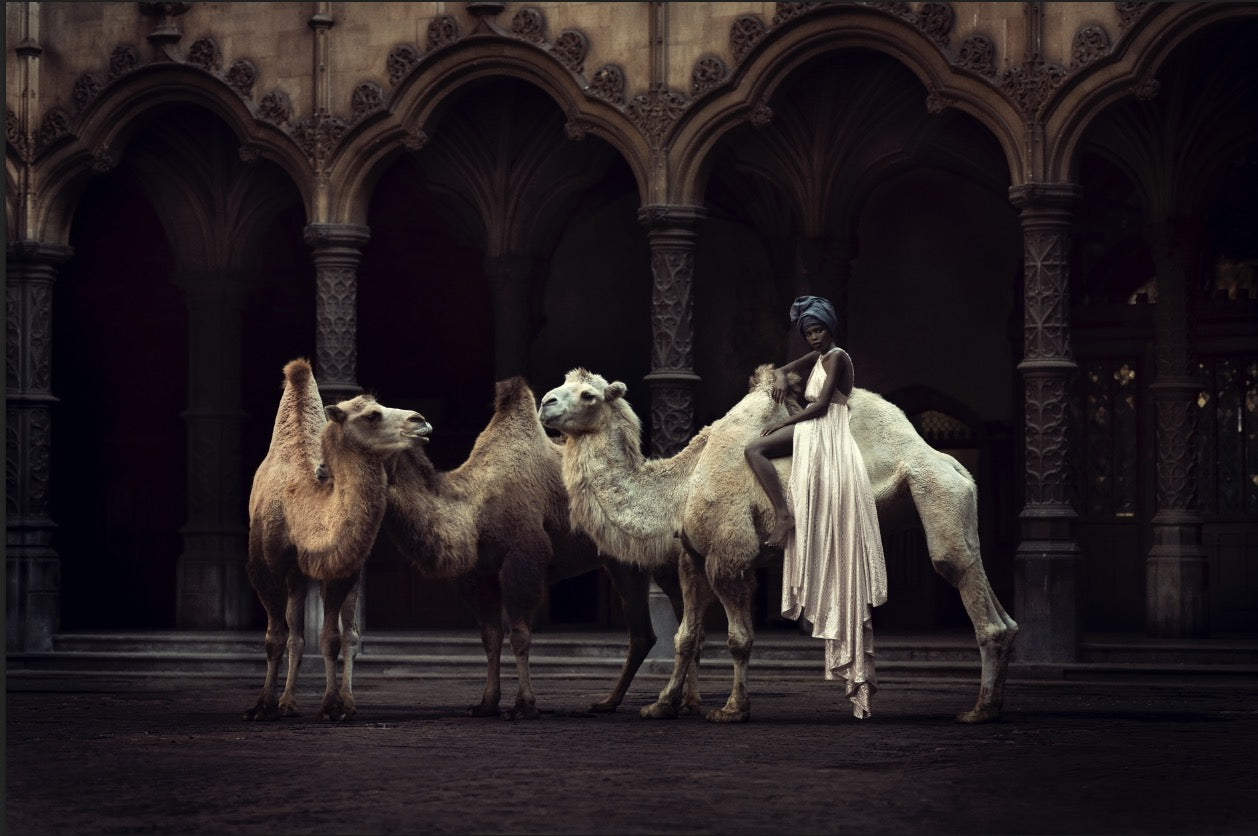 The Straw that broke the Camel's Back (colour) by Marc Lagrange, limited edition photography