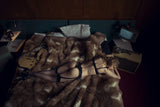 Three Sheets to the Wind (colour)