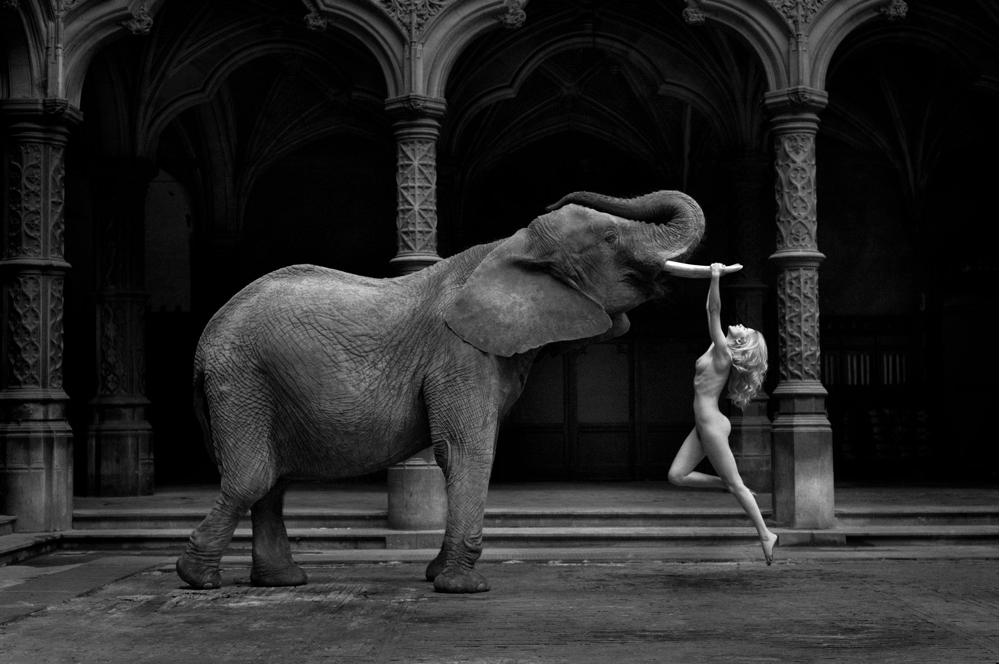Tusk (b&w) by Marc Lagrange, limited edition photography