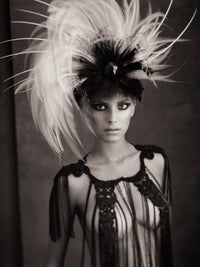 Wild feathers (sepia)