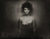 Wild Romance (sepia)