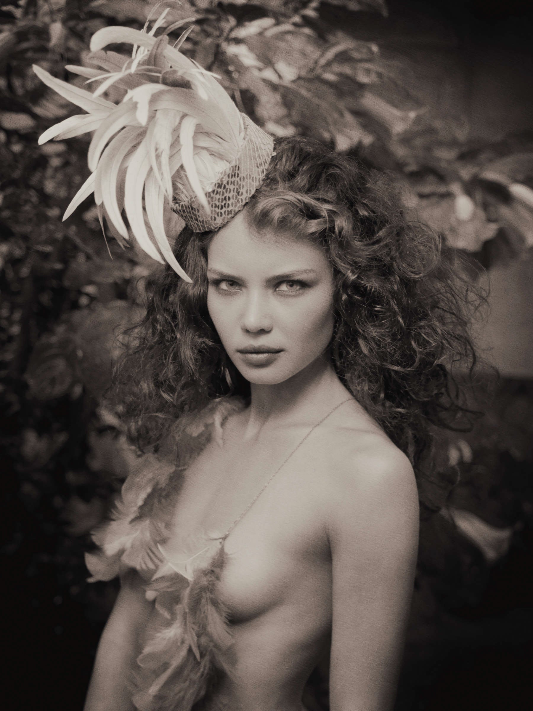 Exotic by Nature (sepia) by Marc Lagrange, limited edition photography
