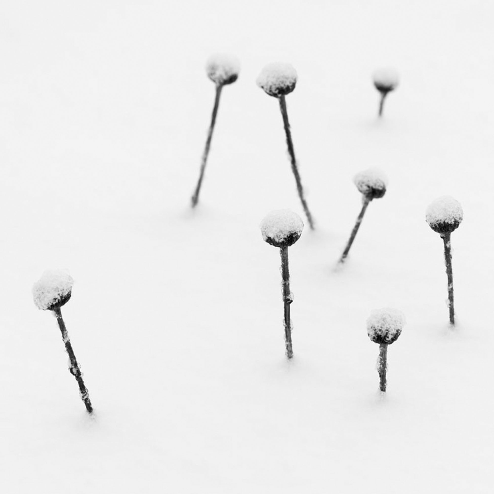 Passo di Pordoi, Italy by Peter Mathis, limited edition photography