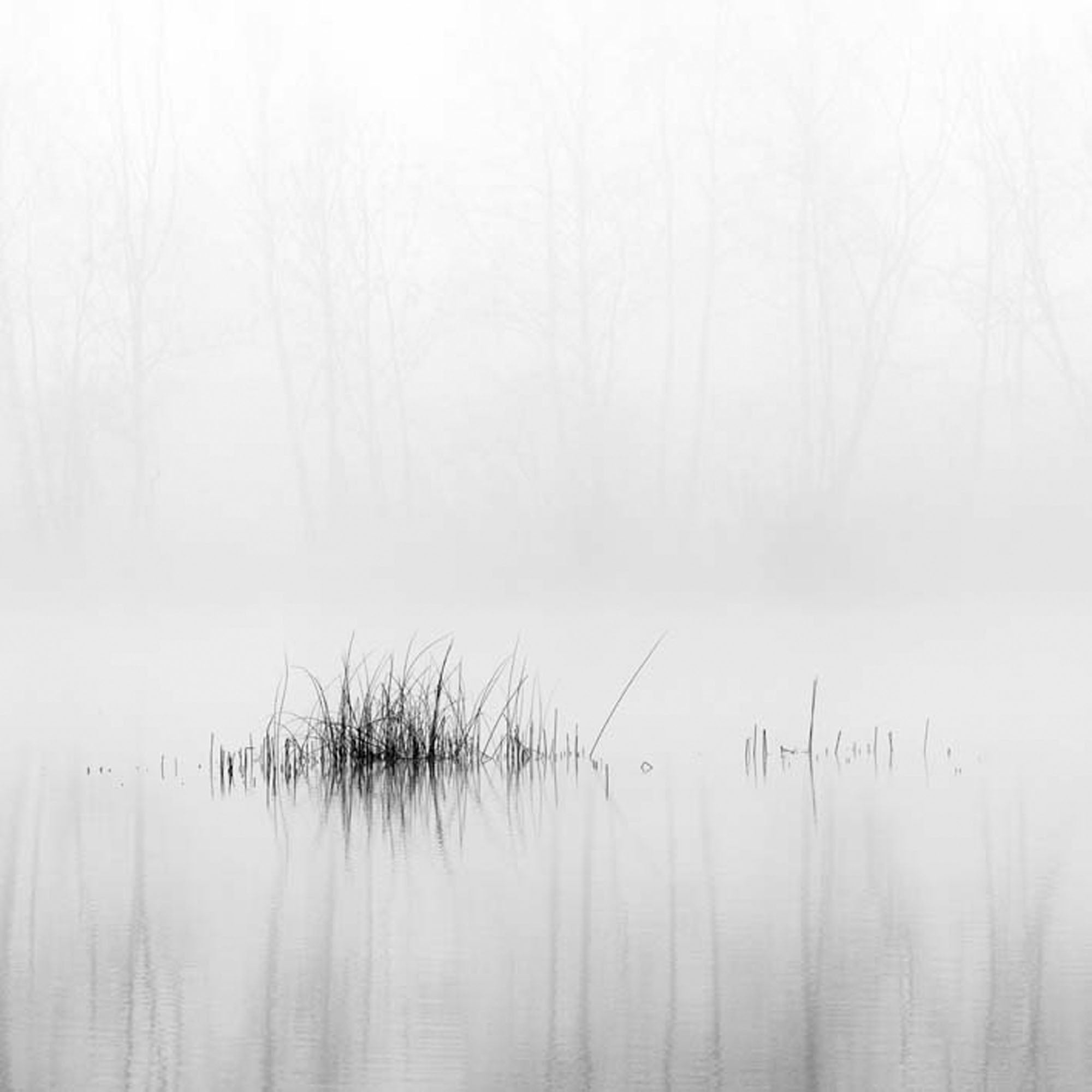 Rhein 10,  Austria by Peter Mathis, limited edition photography