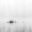 Rhein 10,  Austria by Peter Mathis, limited edition photography