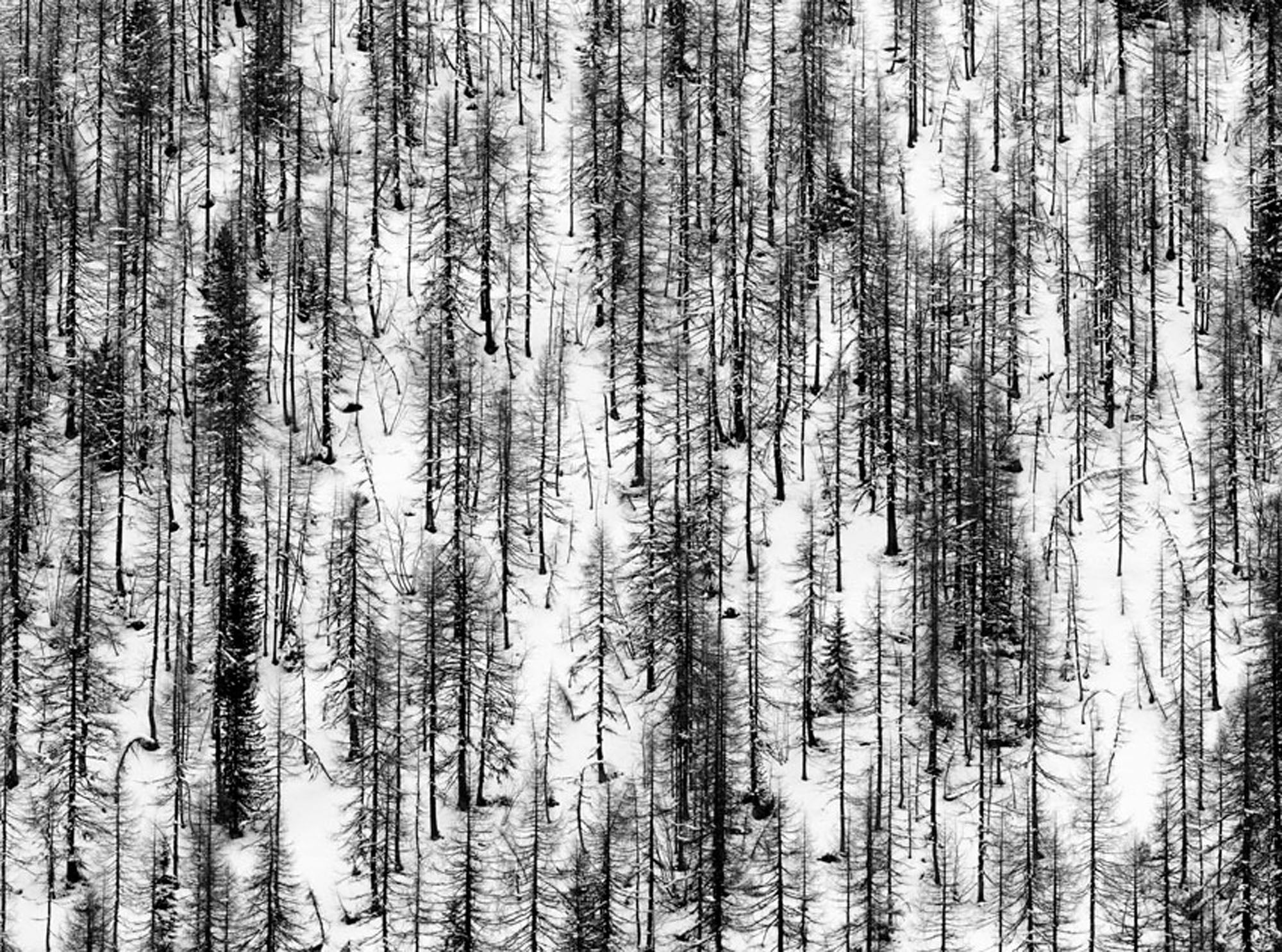 Valle Pelegrino, Italy by Peter Mathis, limited edition photography