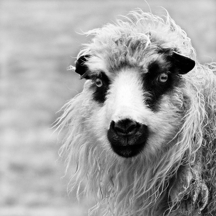 Nal, Mutter des Loki by Peter Mathis, limited edition photography
