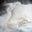 Furore 75 by Alessandro Puccinelli, limited edition photography