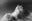 Furore 21 by Alessandro Puccinelli, limited edition photography