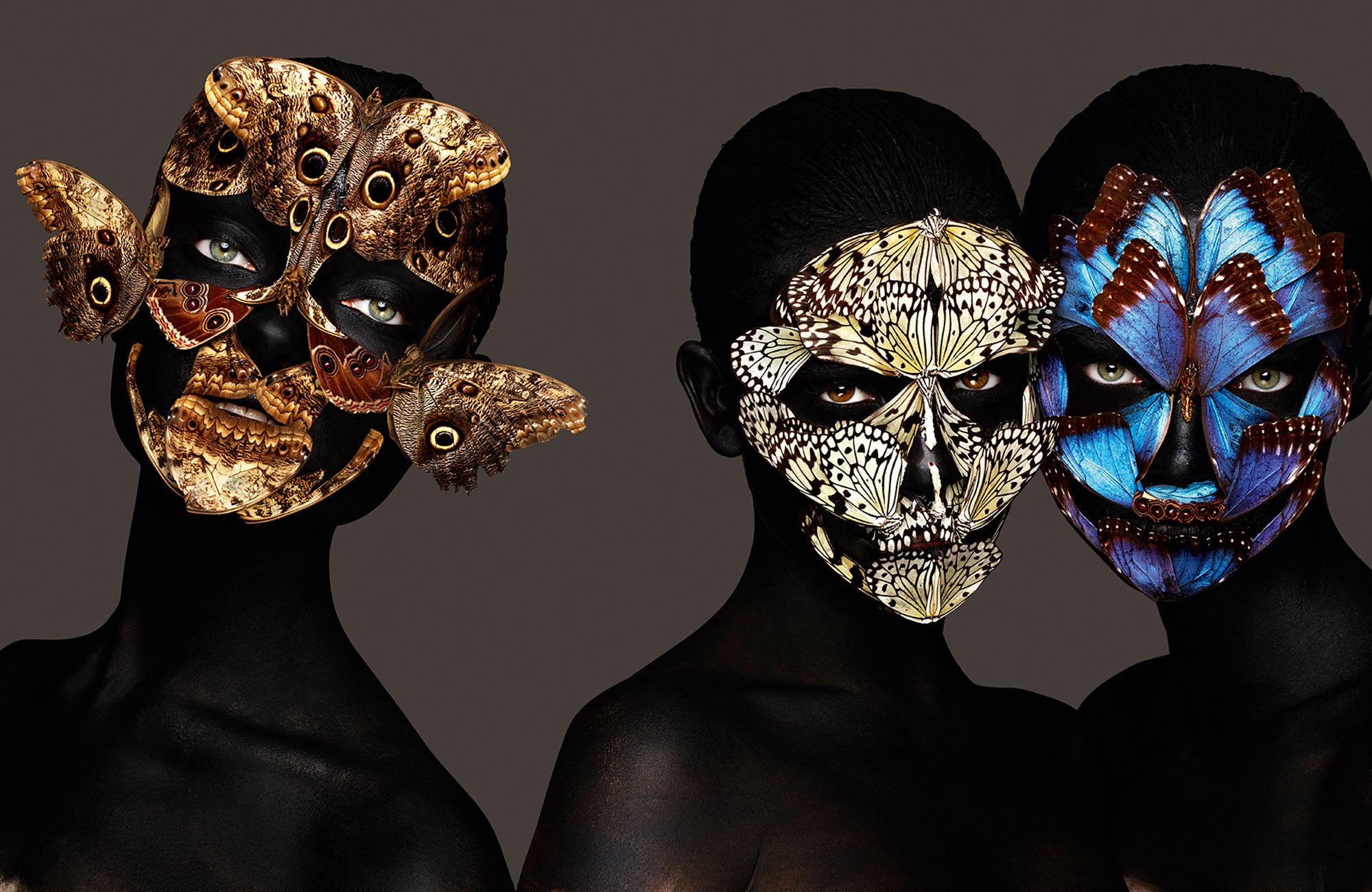 Three momento butterflies by Rankin, limited edition photography