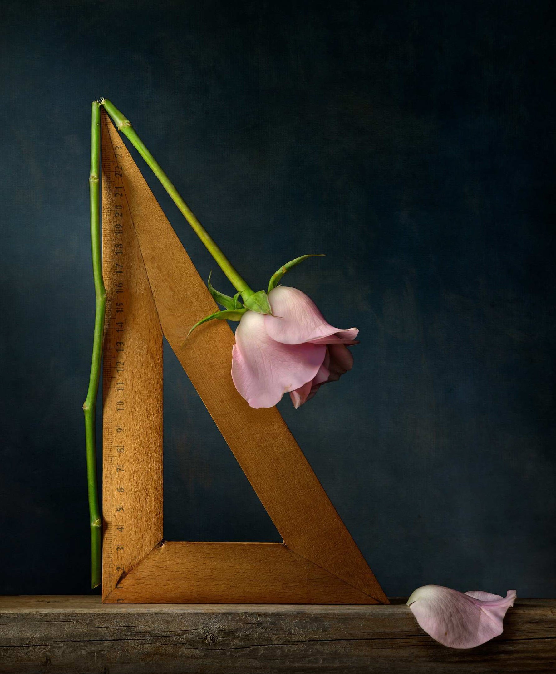 The Contours of Nature by Daniel Remer, limited edition photography