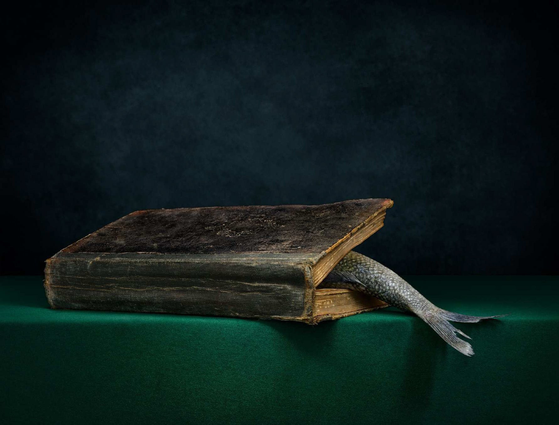 Intrusive Thought by Daniel Remer, limited edition photography
