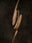 A Cherished Moment by Daniel Remer, limited edition photography