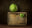 Brassica by Daniel Remer, limited edition photography