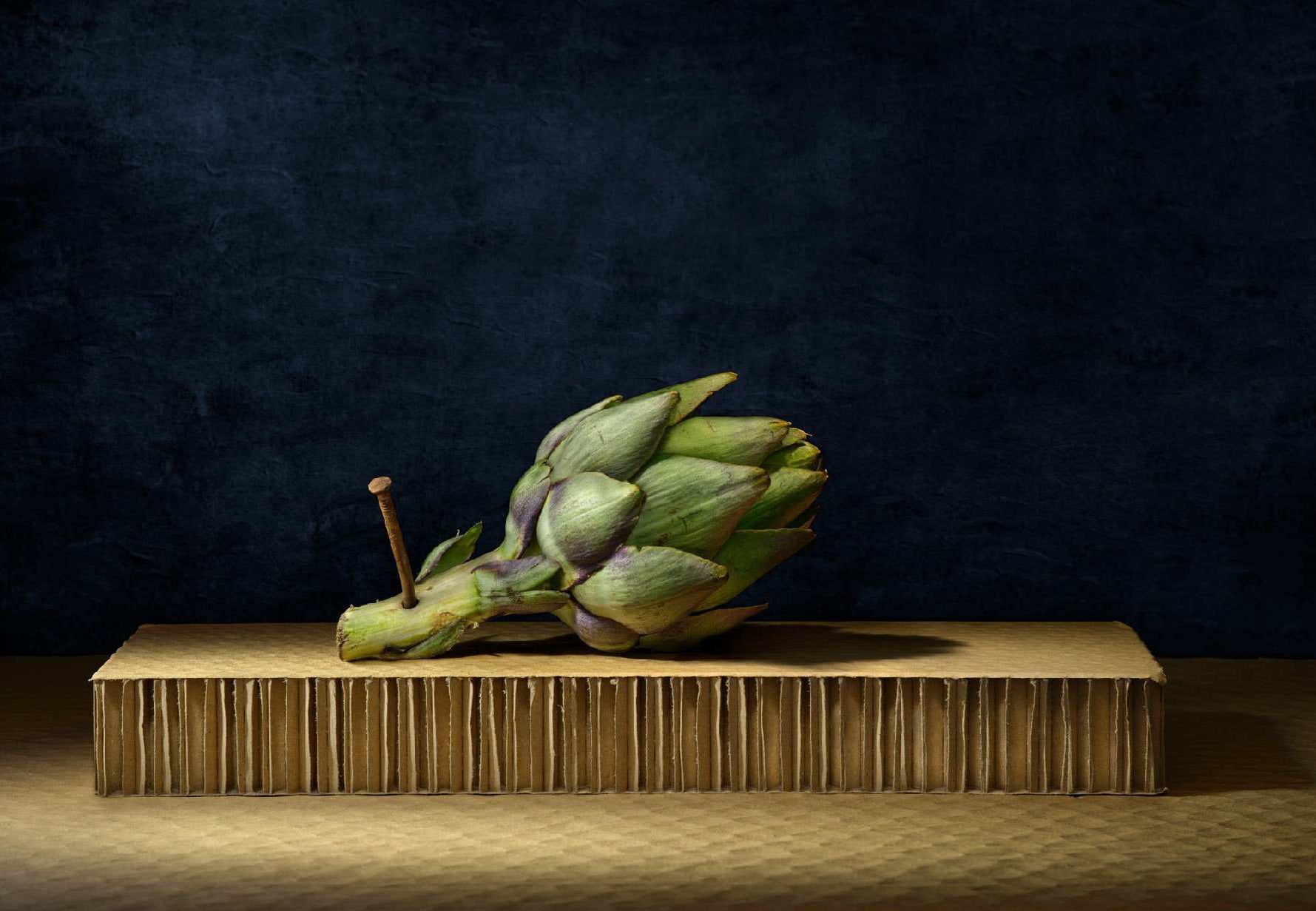 Cynara by Daniel Remer, limited edition photography