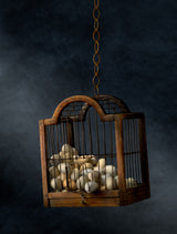 Nest