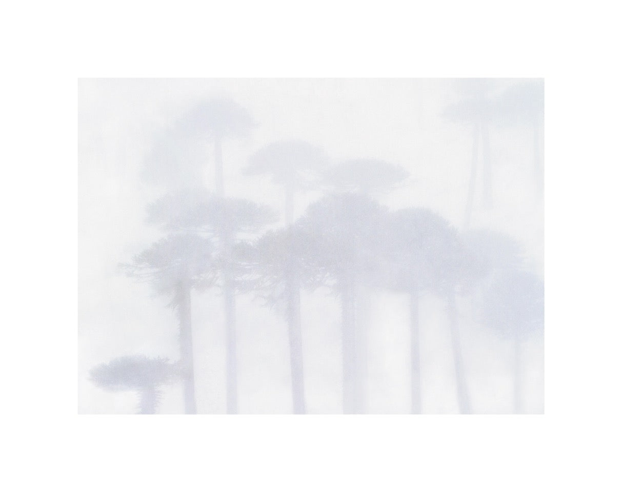 Feeble Dream, Patagonian Andes by Jasmine Rossi, limited edition photography