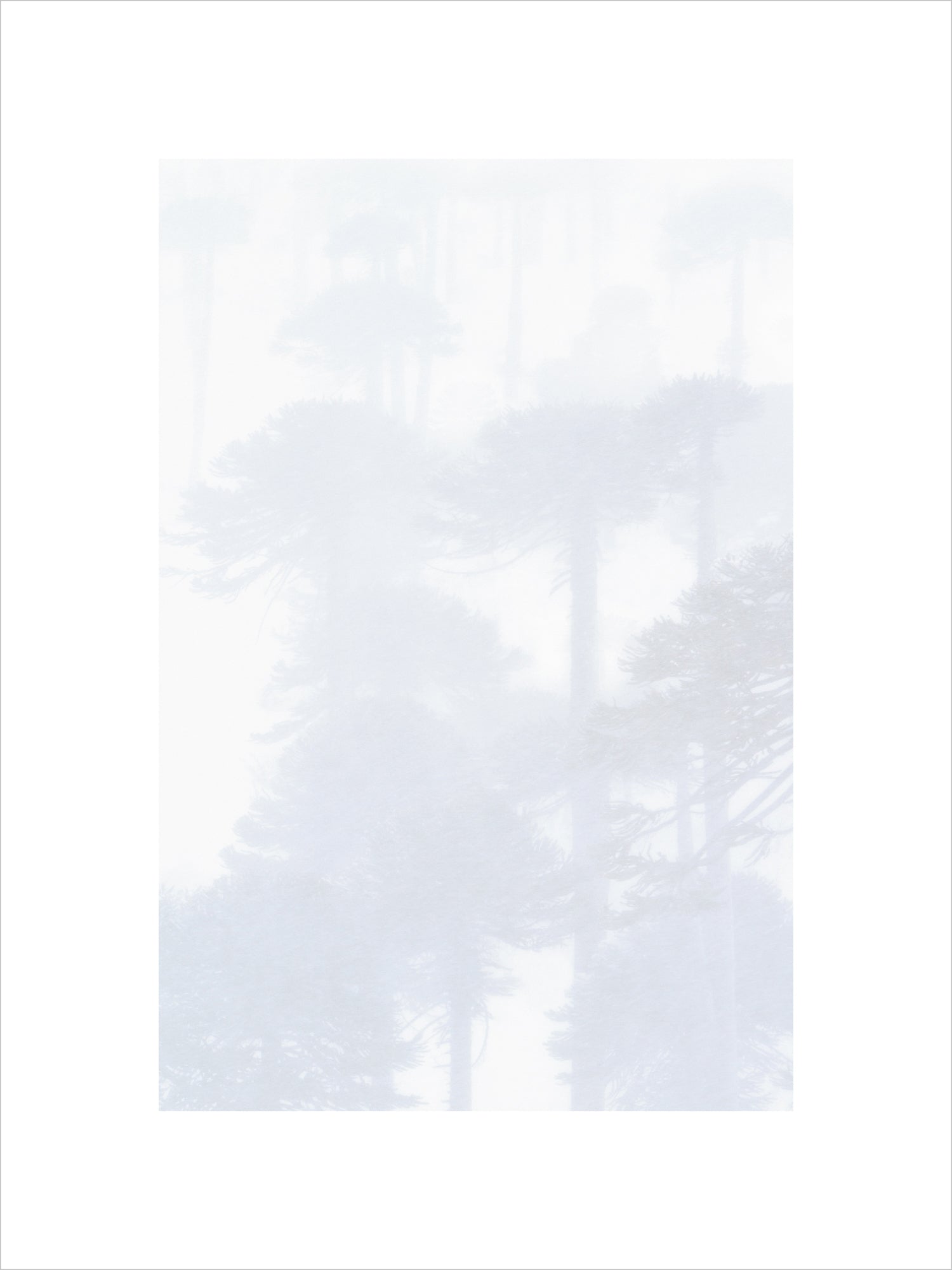 Mystify, Patagonian Andes by Jasmine Rossi, limited edition photography