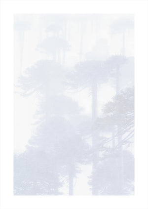 Mystify, Patagonian Andes