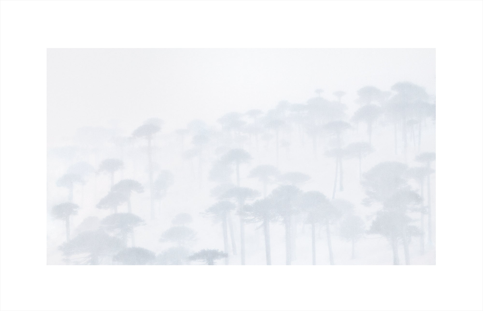 Pale Silence, Patagonian Andes by Jasmine Rossi, limited edition photography