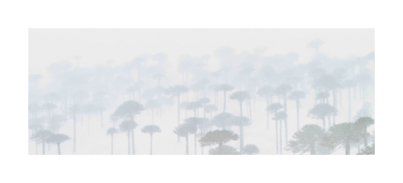 Silent Mist, Patagonian Andes by Jasmine Rossi, limited edition photography