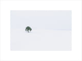 Solitude, Patagonian Andes