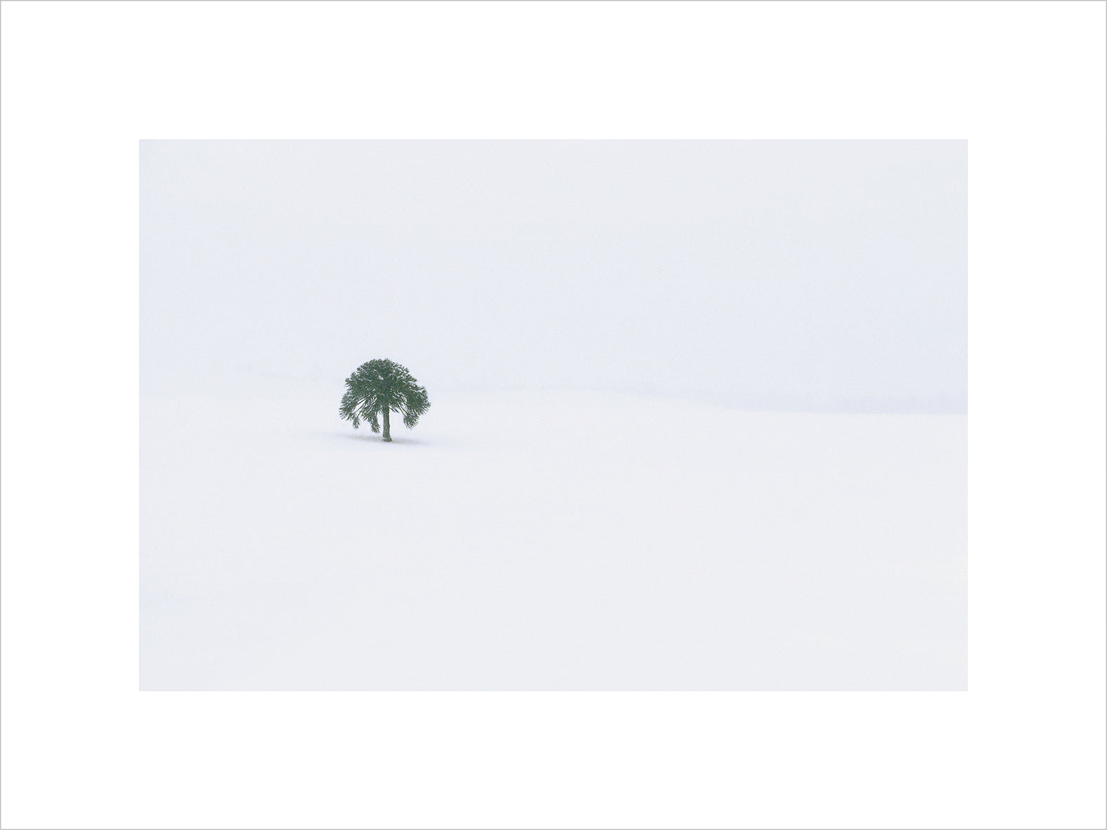 Solitude, Patagonian Andes by Jasmine Rossi, limited edition photography
