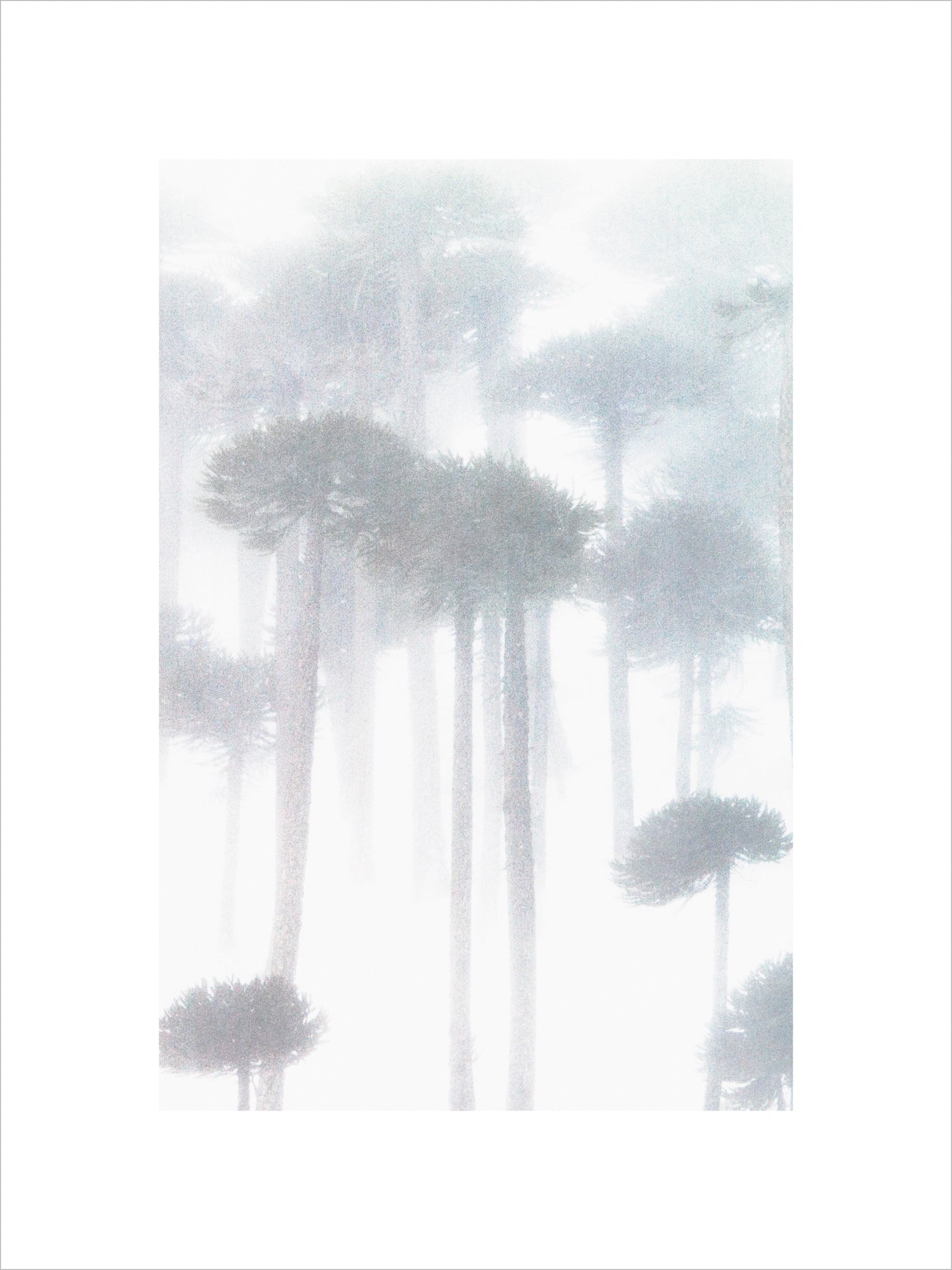 Vague Illusion, Patagonian Andes by Jasmine Rossi, limited edition photography