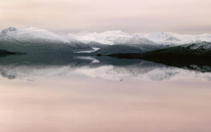End of the Andes, Tierra del Fuego
