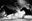 Pursuing in Motion by Hannes Schmid, limited edition photography