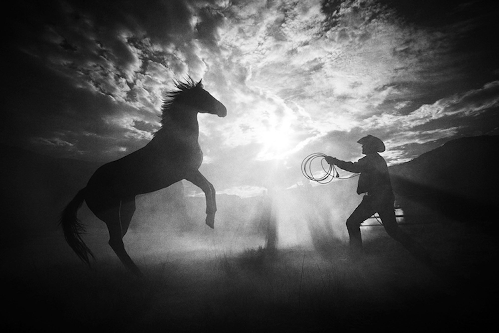 Rearing at Sunset by Hannes Schmid, limited edition photography