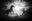 Rearing at Sunset by Hannes Schmid, limited edition photography