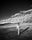 Unitled, Mongolia by Hannes Schmid, limited edition photography