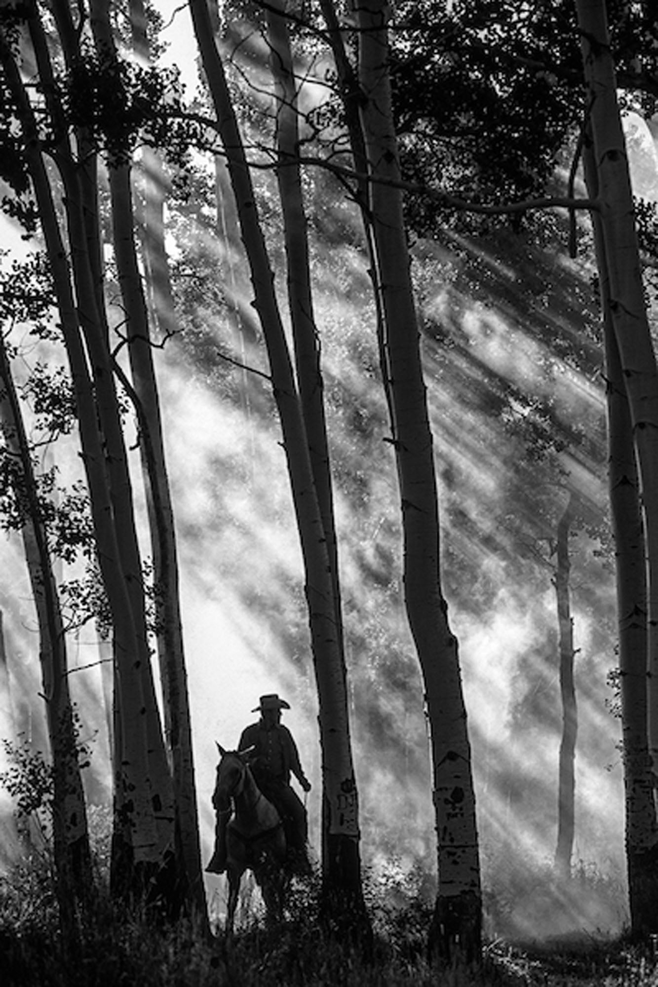 Walk in the Woods